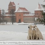 Sveikiname su šventėmis! Linkime ilgų ir prasmingų dienų su Jūsų retriveriais!